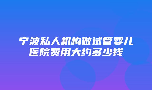 宁波私人机构做试管婴儿医院费用大约多少钱