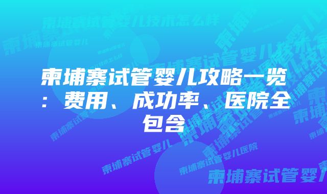 柬埔寨试管婴儿攻略一览：费用、成功率、医院全包含