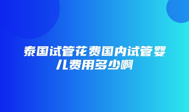 泰国试管花费国内试管婴儿费用多少啊