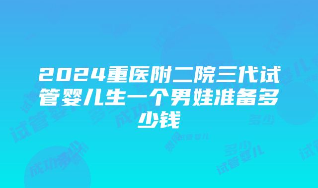 2024重医附二院三代试管婴儿生一个男娃准备多少钱