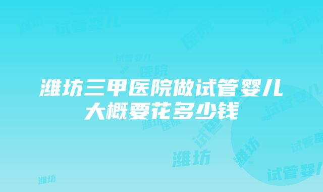 潍坊三甲医院做试管婴儿大概要花多少钱