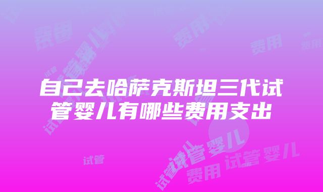 自己去哈萨克斯坦三代试管婴儿有哪些费用支出