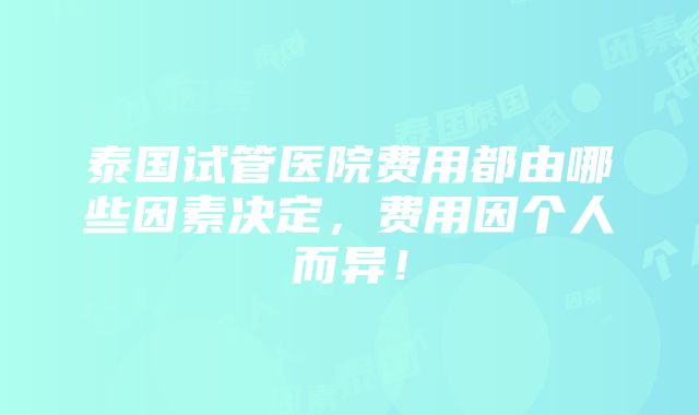 泰国试管医院费用都由哪些因素决定，费用因个人而异！