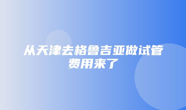 从天津去格鲁吉亚做试管费用来了