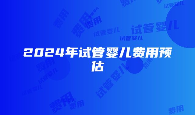 2024年试管婴儿费用预估