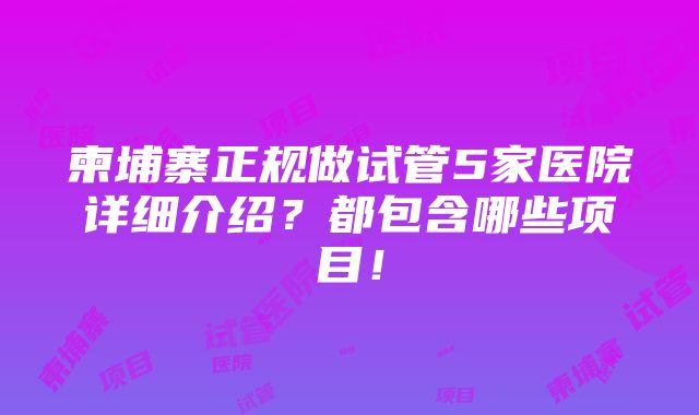 柬埔寨正规做试管5家医院详细介绍？都包含哪些项目！