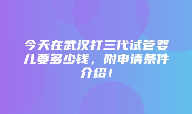 今天在武汉打三代试管婴儿要多少钱，附申请条件介绍！