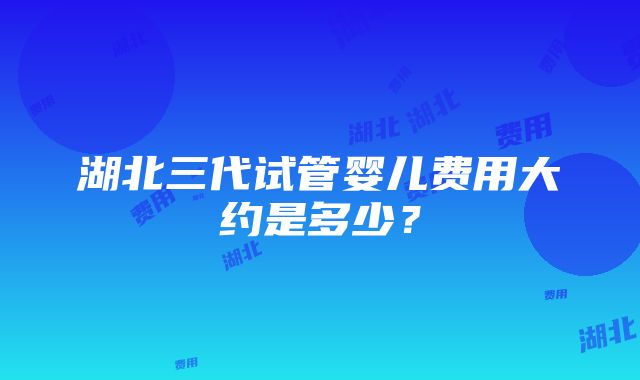 湖北三代试管婴儿费用大约是多少？