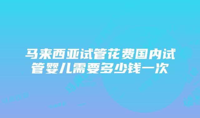 马来西亚试管花费国内试管婴儿需要多少钱一次