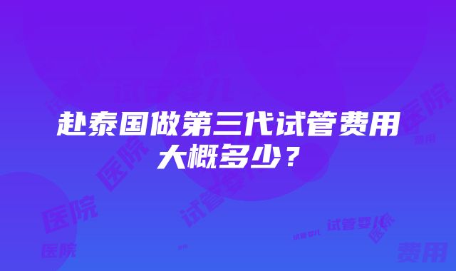 赴泰国做第三代试管费用大概多少？