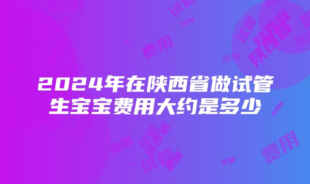 2024年在陕西省做试管生宝宝费用大约是多少