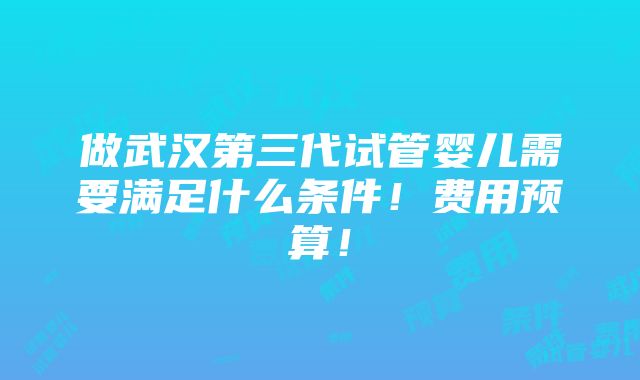 做武汉第三代试管婴儿需要满足什么条件！费用预算！