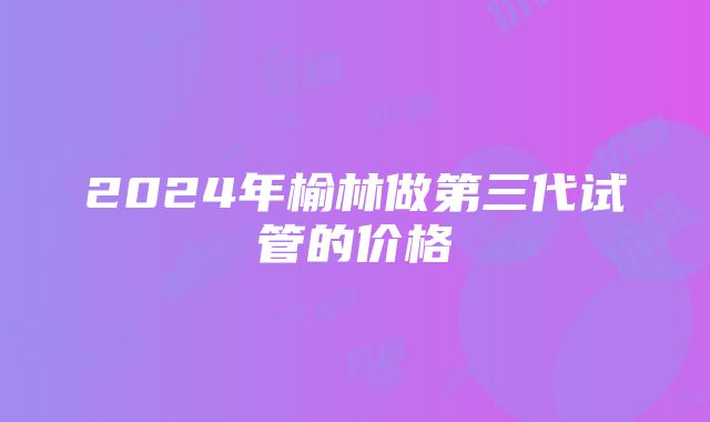 2024年榆林做第三代试管的价格