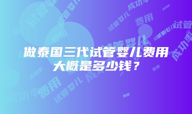 做泰国三代试管婴儿费用大概是多少钱？