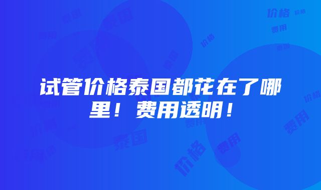 试管价格泰国都花在了哪里！费用透明！