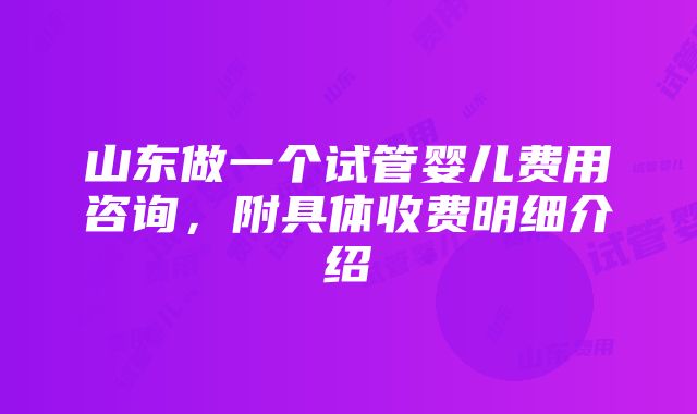 山东做一个试管婴儿费用咨询，附具体收费明细介绍