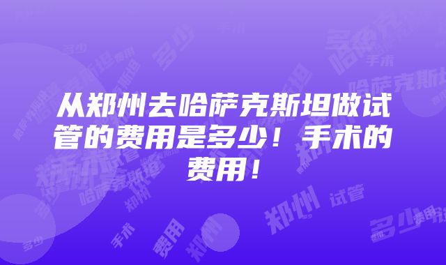 从郑州去哈萨克斯坦做试管的费用是多少！手术的费用！