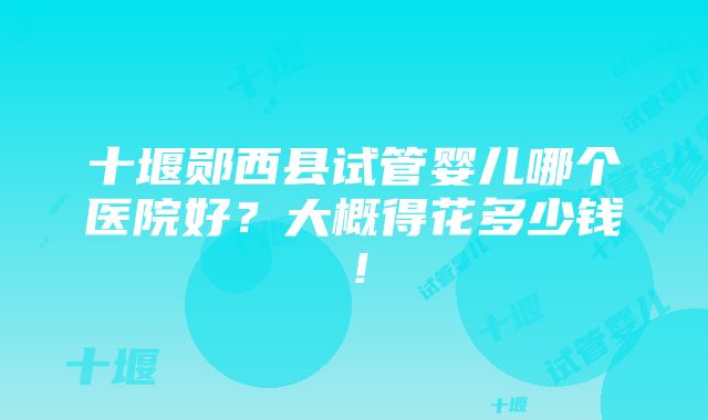 十堰郧西县试管婴儿哪个医院好？大概得花多少钱！