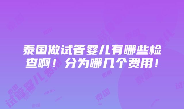 泰国做试管婴儿有哪些检查啊！分为哪几个费用！