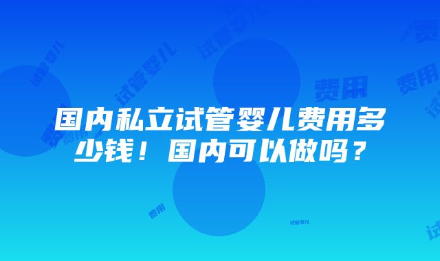 国内私立试管婴儿费用多少钱！国内可以做吗？