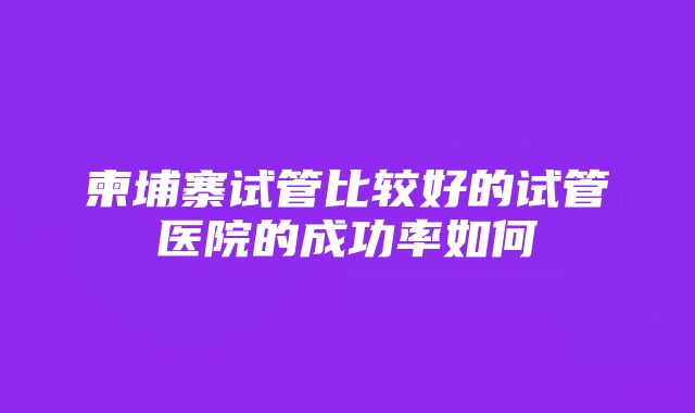 柬埔寨试管比较好的试管医院的成功率如何