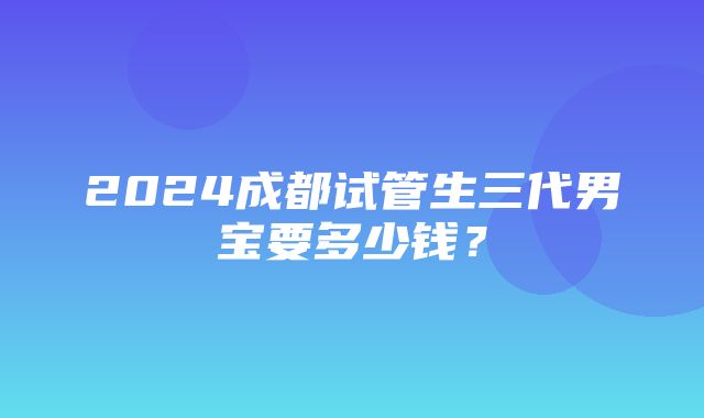 2024成都试管生三代男宝要多少钱？