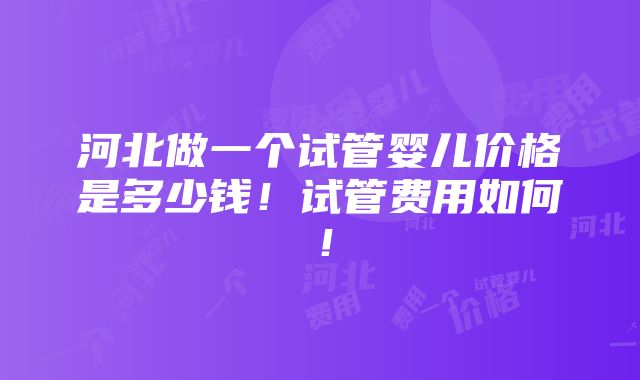 河北做一个试管婴儿价格是多少钱！试管费用如何！