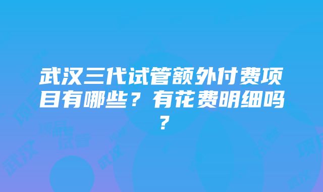 武汉三代试管额外付费项目有哪些？有花费明细吗？