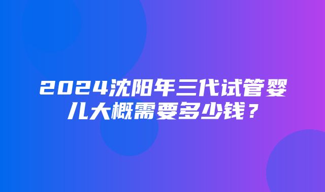 2024沈阳年三代试管婴儿大概需要多少钱？