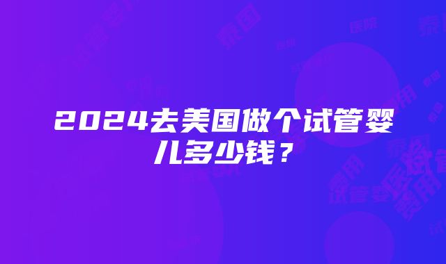 2024去美国做个试管婴儿多少钱？