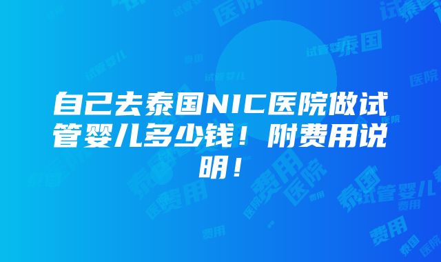 自己去泰国NIC医院做试管婴儿多少钱！附费用说明！