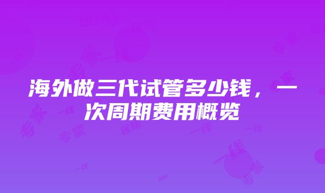 海外做三代试管多少钱，一次周期费用概览