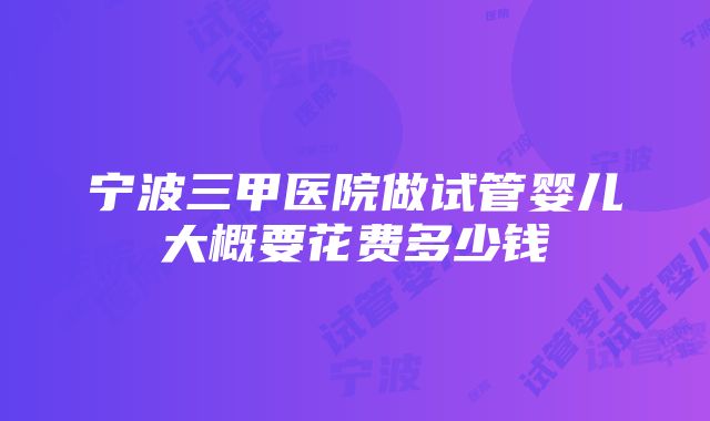 宁波三甲医院做试管婴儿大概要花费多少钱