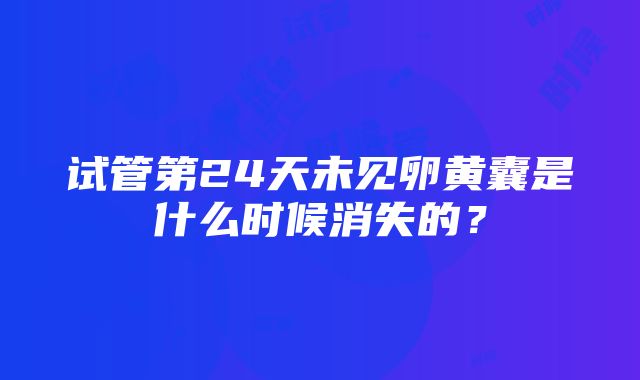 试管第24天未见卵黄囊是什么时候消失的？