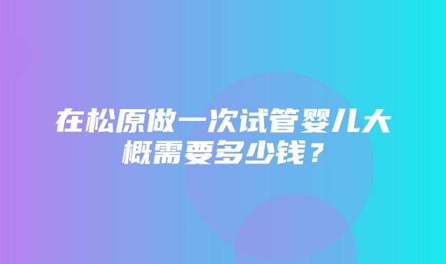 在松原做一次试管婴儿大概需要多少钱？