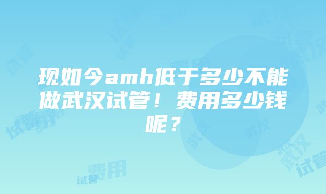 现如今amh低于多少不能做武汉试管！费用多少钱呢？