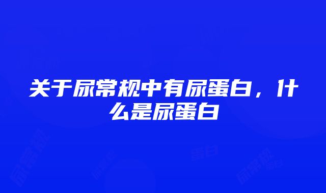 关于尿常规中有尿蛋白，什么是尿蛋白