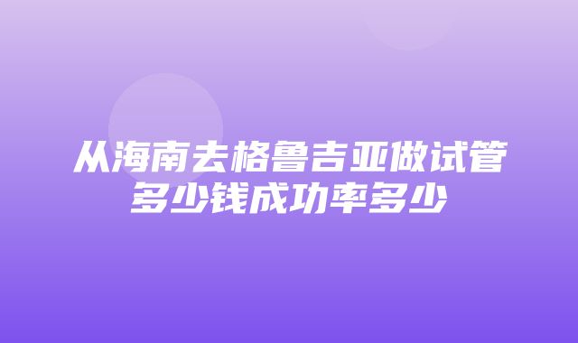 从海南去格鲁吉亚做试管多少钱成功率多少