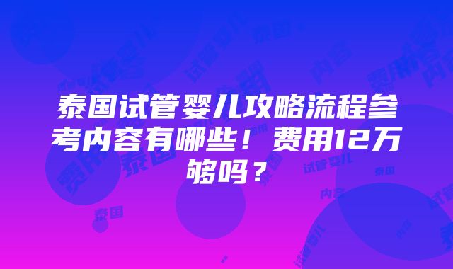 泰国试管婴儿攻略流程参考内容有哪些！费用12万够吗？