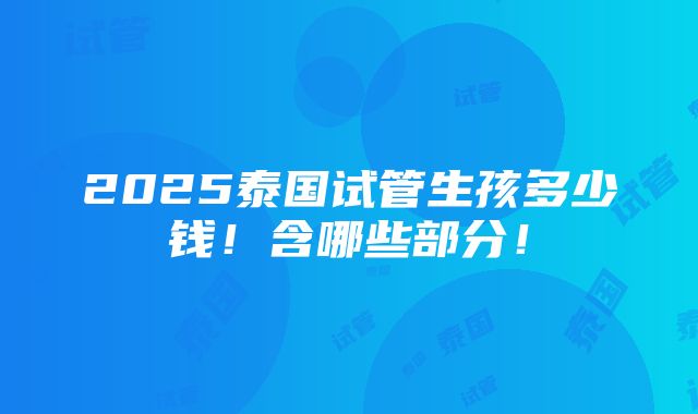 2025泰国试管生孩多少钱！含哪些部分！