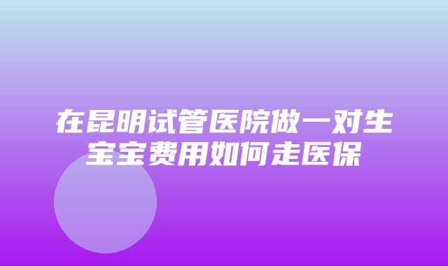 在昆明试管医院做一对生宝宝费用如何走医保