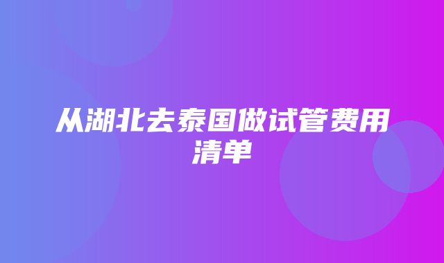 从湖北去泰国做试管费用清单