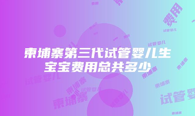 柬埔寨第三代试管婴儿生宝宝费用总共多少