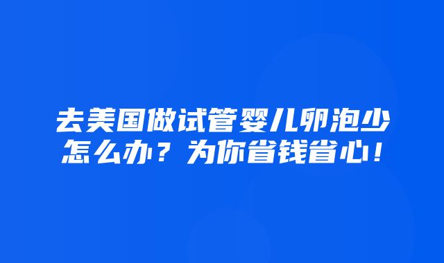 去美国做试管婴儿卵泡少怎么办？为你省钱省心！