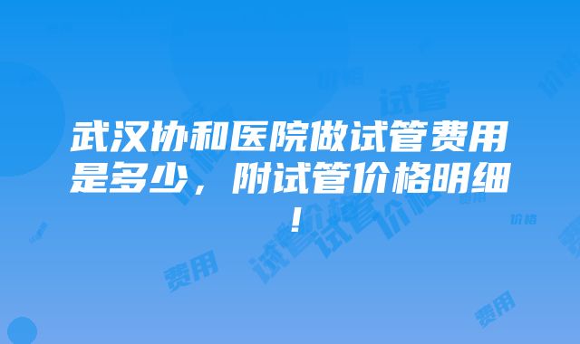 武汉协和医院做试管费用是多少，附试管价格明细！