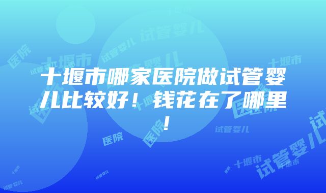 十堰市哪家医院做试管婴儿比较好！钱花在了哪里！