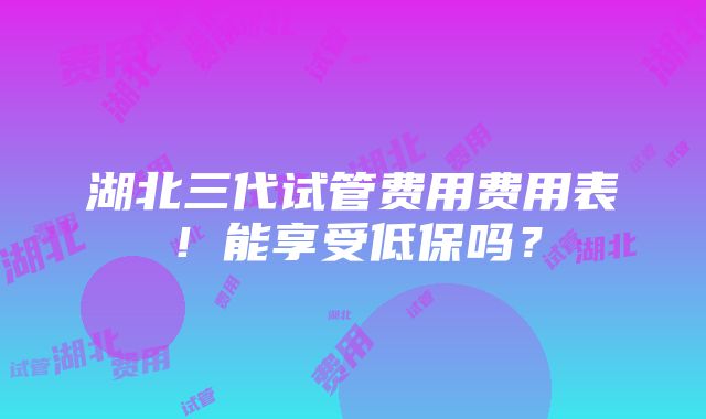 湖北三代试管费用费用表！能享受低保吗？