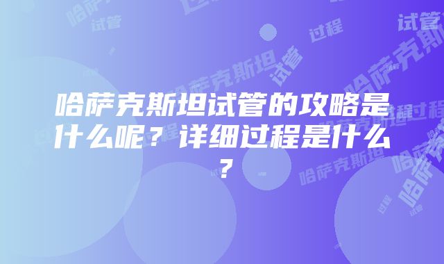 哈萨克斯坦试管的攻略是什么呢？详细过程是什么？