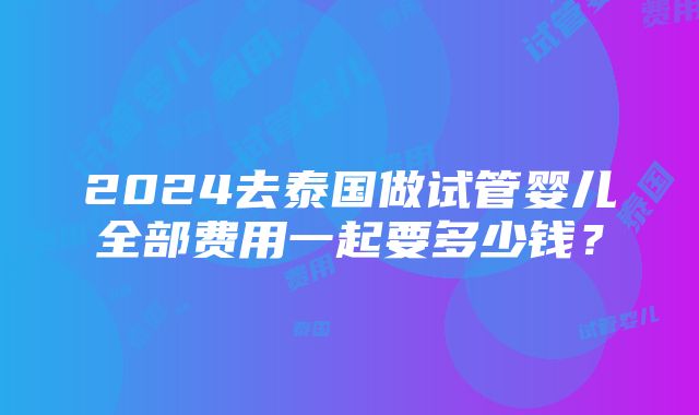 2024去泰国做试管婴儿全部费用一起要多少钱？