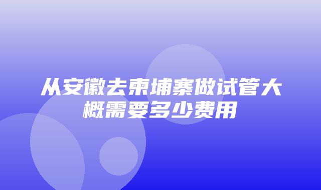 从安徽去柬埔寨做试管大概需要多少费用